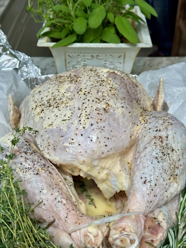 Turkey Ready For Roasting