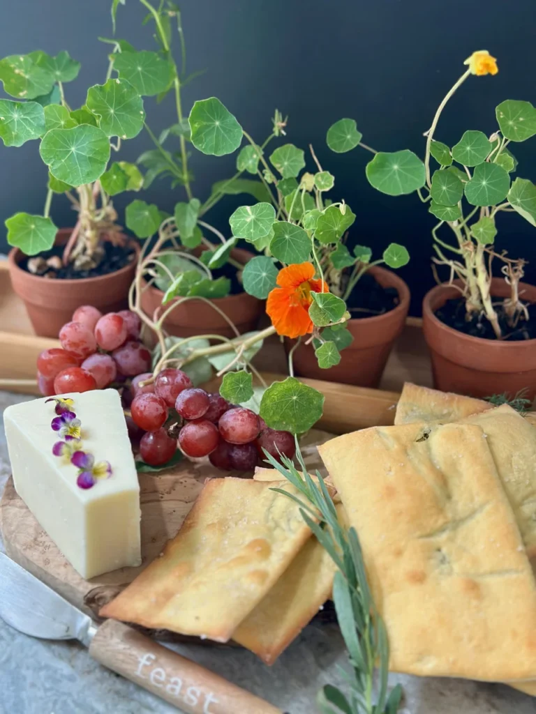 Nasturtium Leaf In Tiny Pots or Large Hanging Baskets Makes Great Culinary Sense
