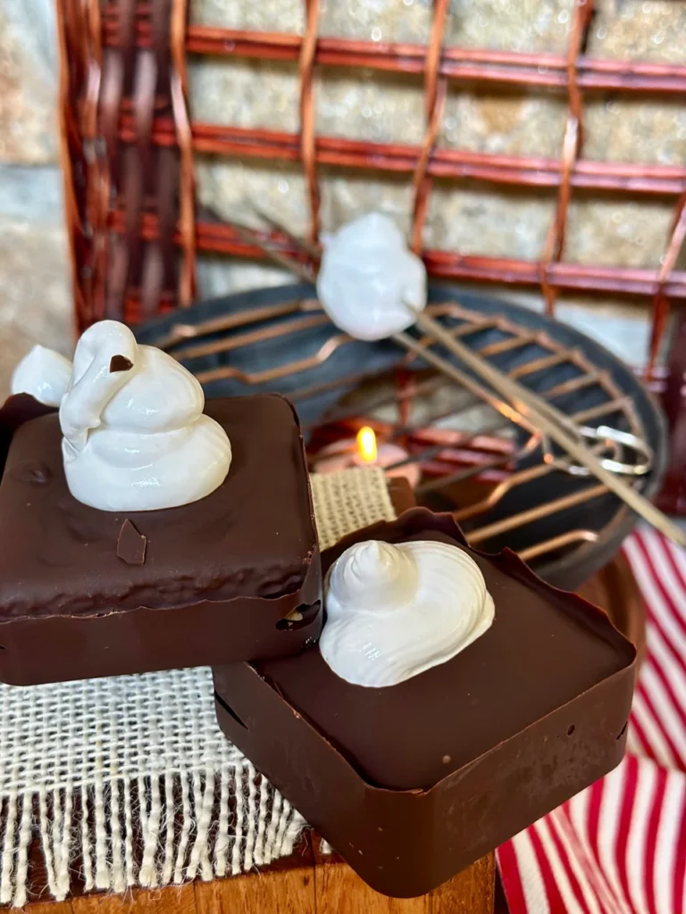 Chocolate S'Mores with Homemade Graham Crackers and Homemade Marshmallow