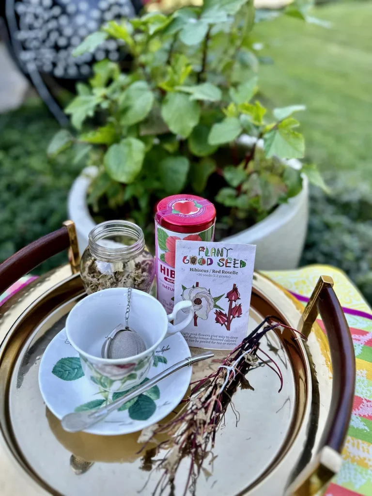 Growing Your Own Hibiscus Tea Is Easy And Delicious