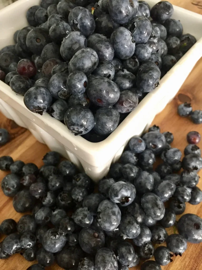 Blueberries - The Year Round Fruit