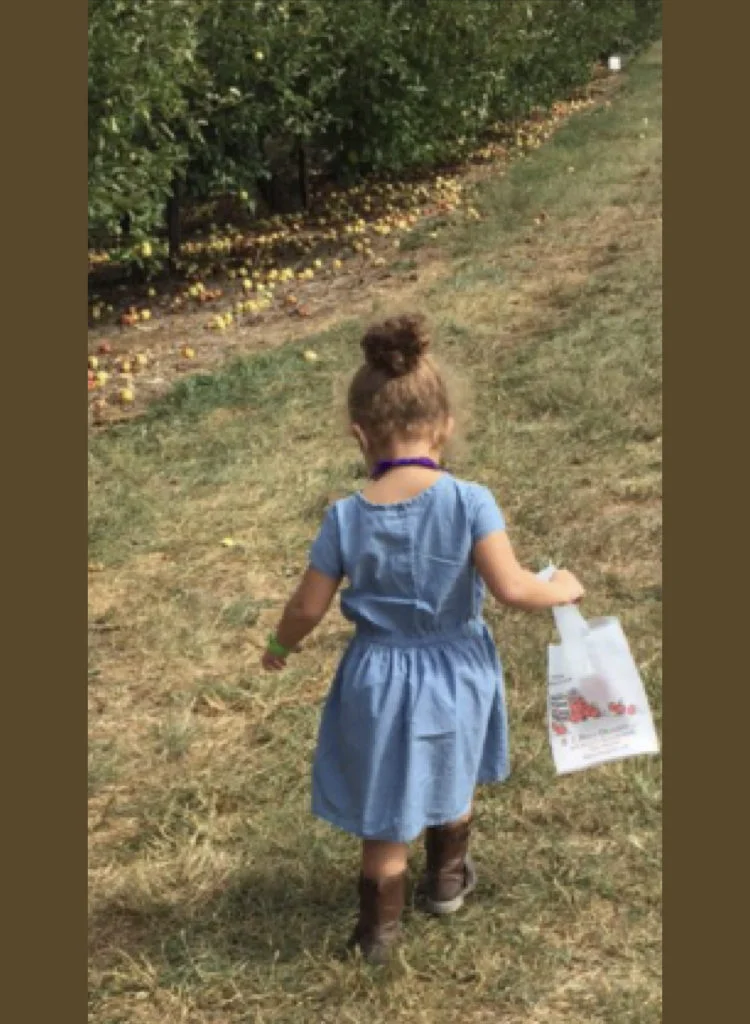 Fall Is The Season For Gathering Apples And Other Goodies For Pie Season