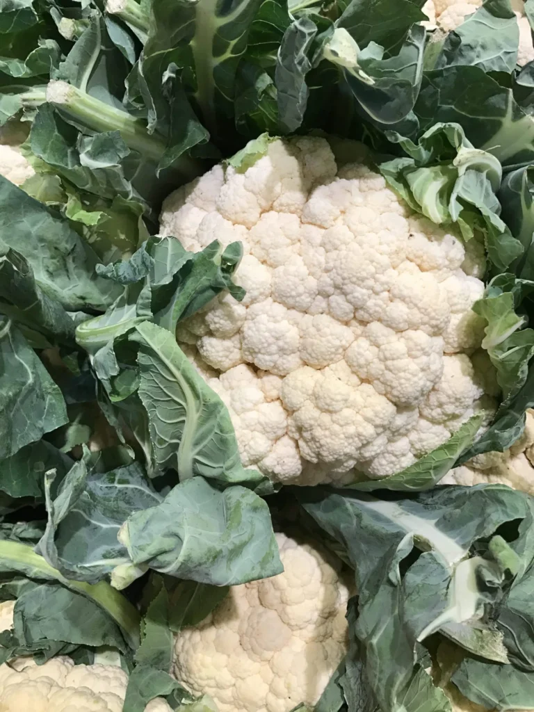 Fresh Simple Ingredients For A Healthy Fast Soup