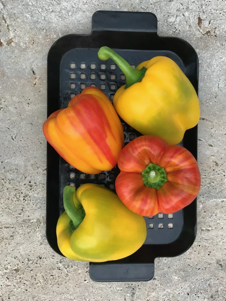 Sweet Bell Peppers