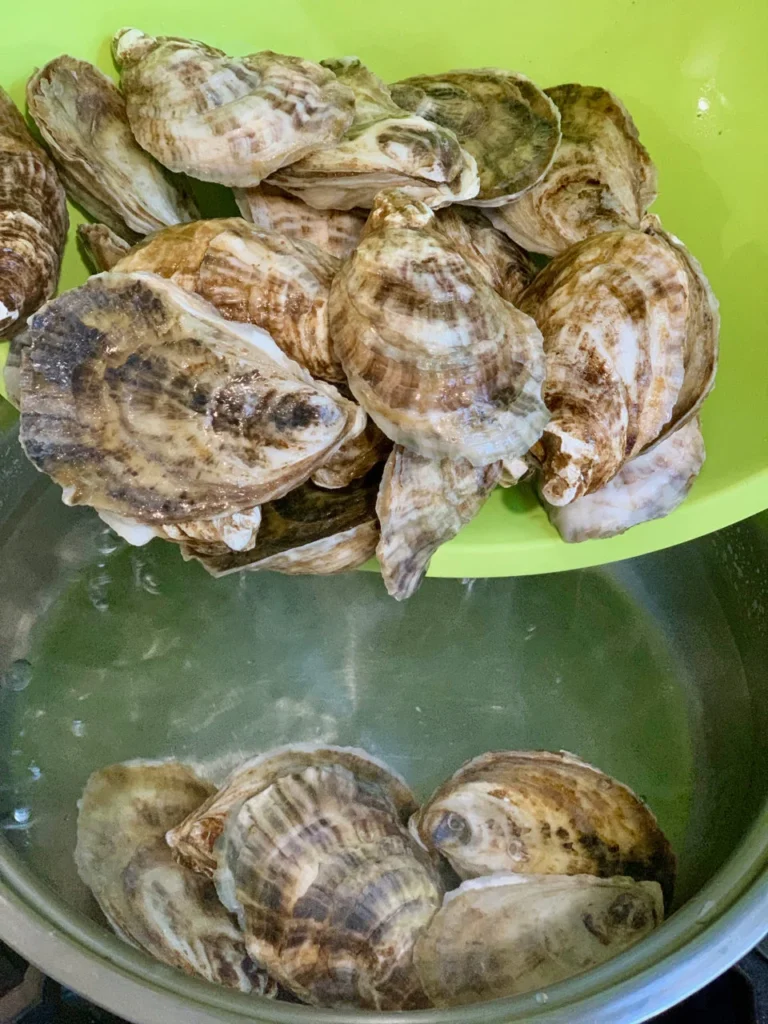 Don't Open That Oyster Shell - Boiling Oysters In Shell Extracts The Oyster Liquor