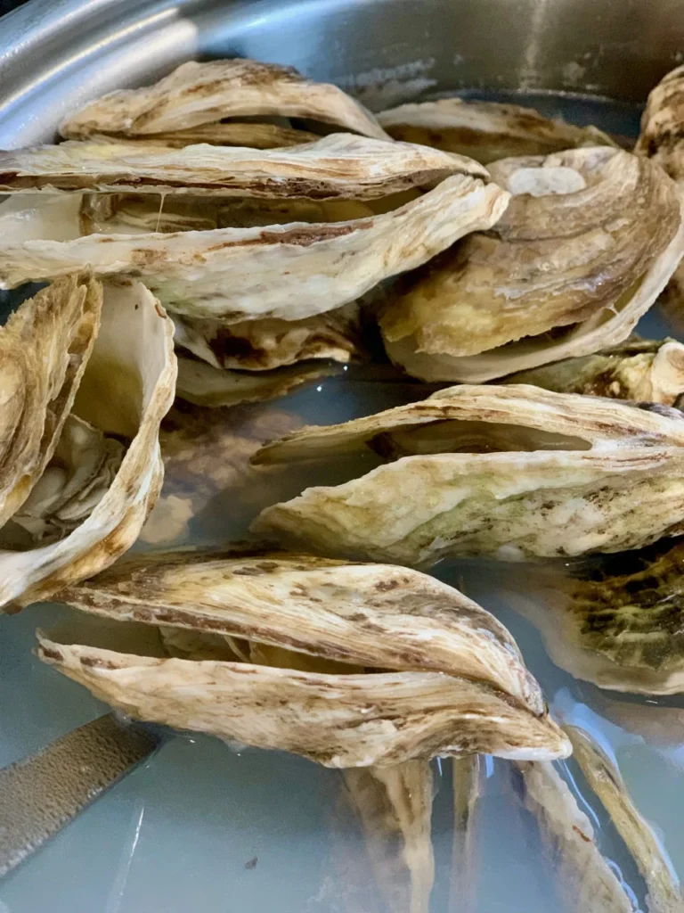 Oysters Opening In Simmering Liquid