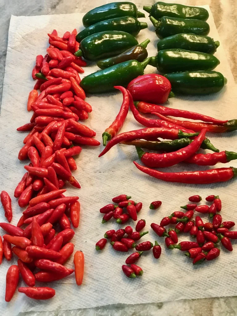 A Variety Of Types Of Peppers Can Be Used To Make Paprika