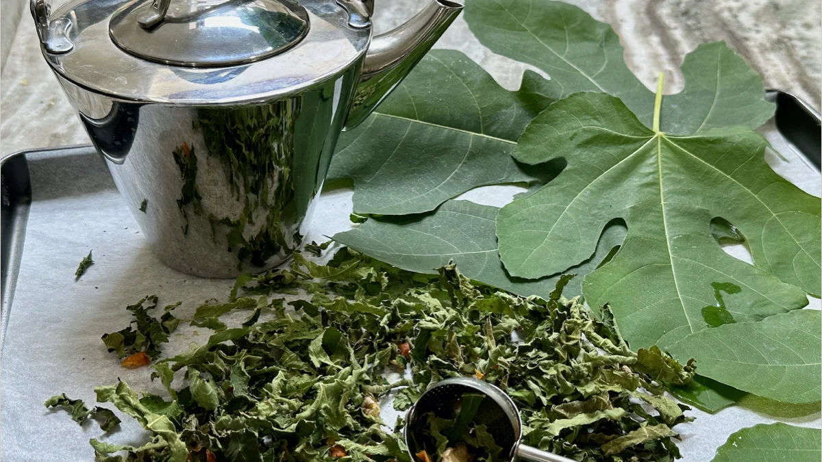 How To Make Fig Leaf Tea and Discover Its Health Benefits