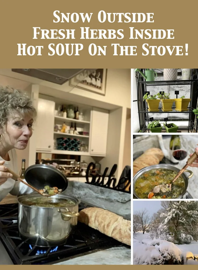 Whether Snow On The Ground Or Just Off A Hot Brazilian Beach - Soup To Make At Home Is Best
