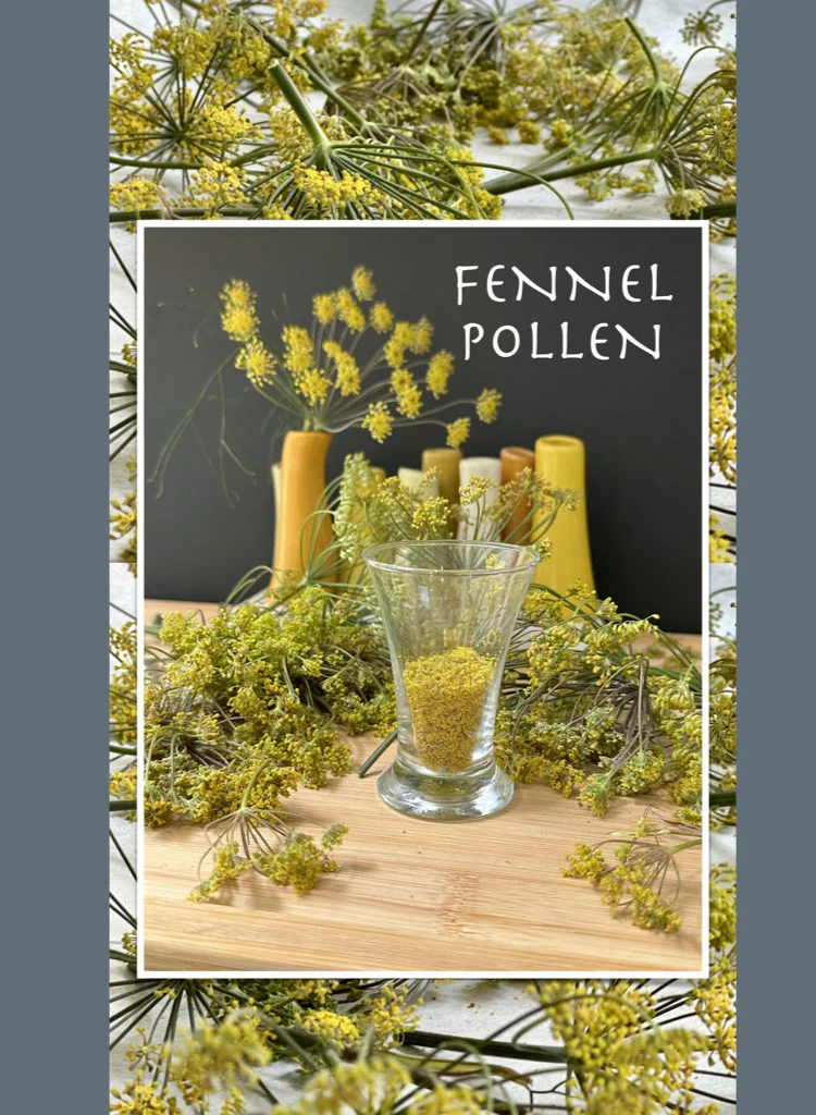 Freshly Extracted Fennel Pollen