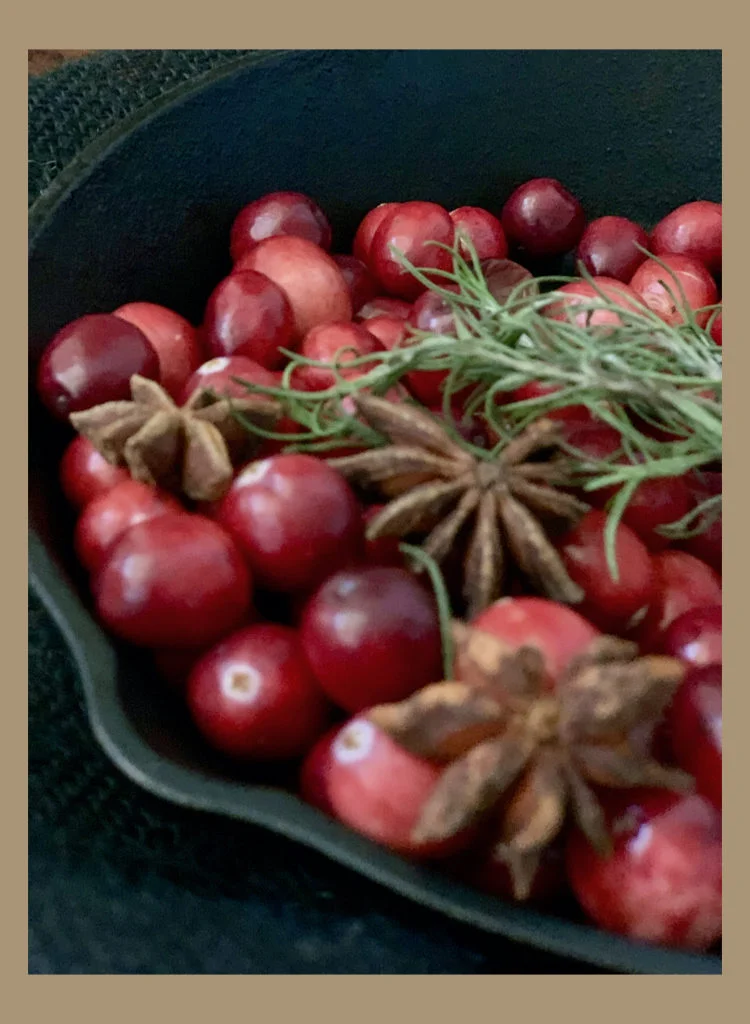 Cranberries - The Fruit Of Autumn