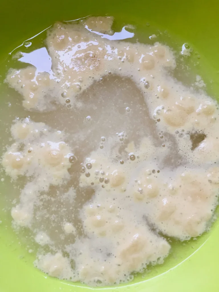 Proofing Yeast - Bringing The Ingredients Alive