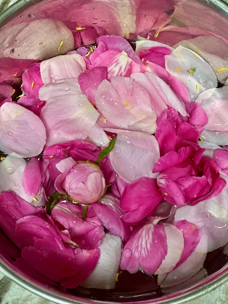 Organic Unsprayed Garden Fresh Peony Blossoms