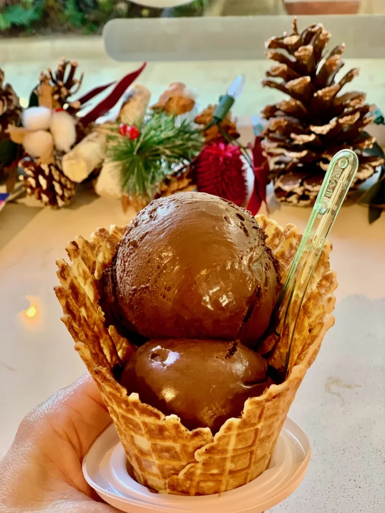 Rich Chocolate Ice Cream In Summer Or Winter Is Always Indulgent!