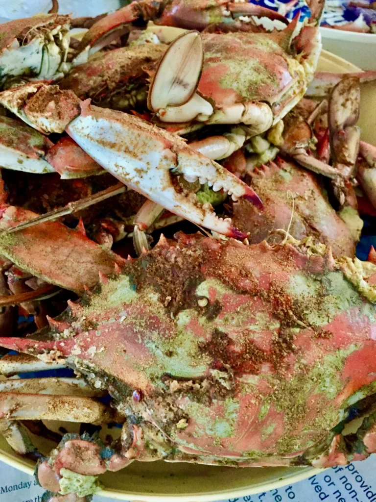 Maryland Steamed Crabs - A Gift From The Chesapeake Bay