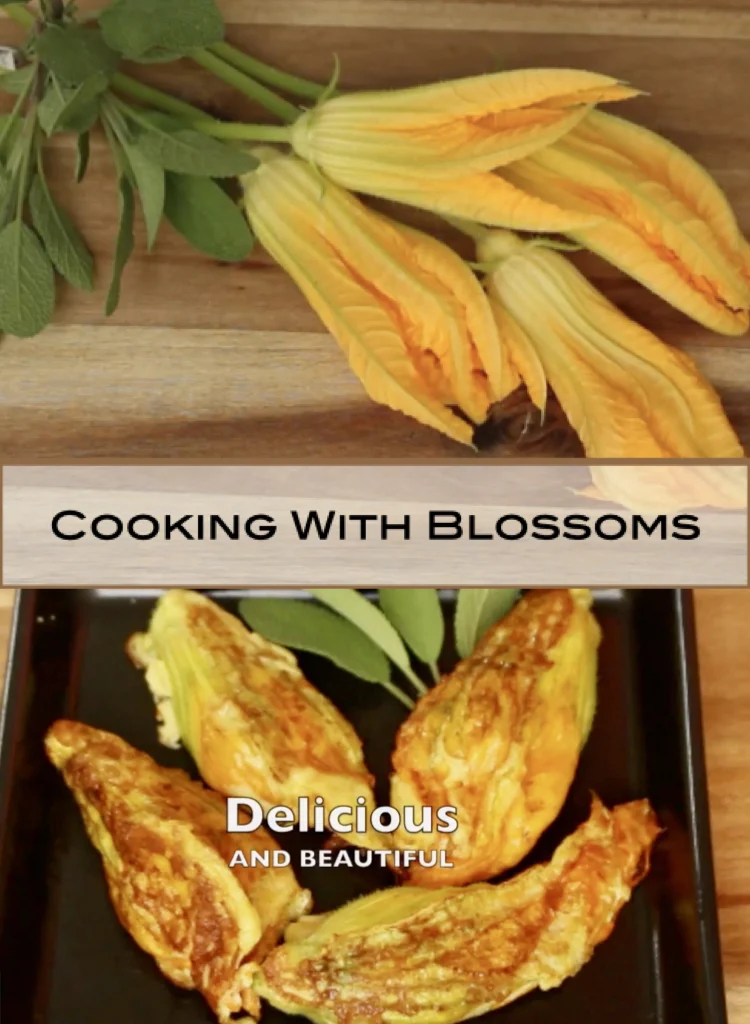 Stuffed Pumpkin Blossoms