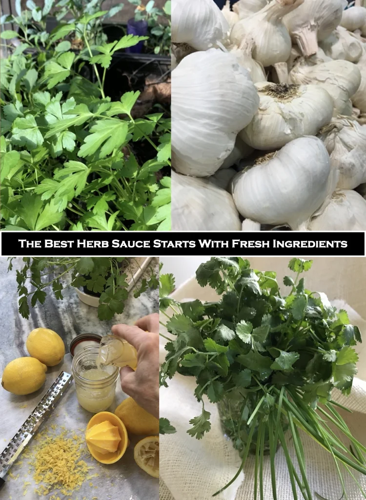 The Best Moroccan Herb Sauce Starts With Fresh Ingredients
