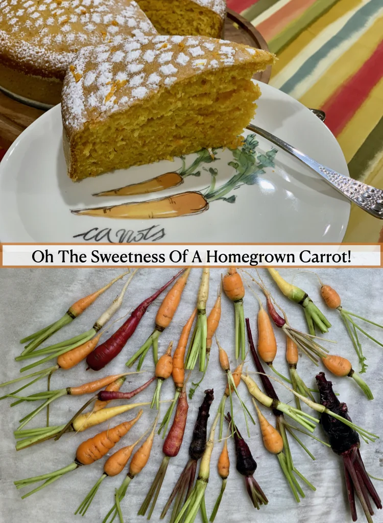 Oh The Sweet and Earthy Cake Made From Homegrown Carrots