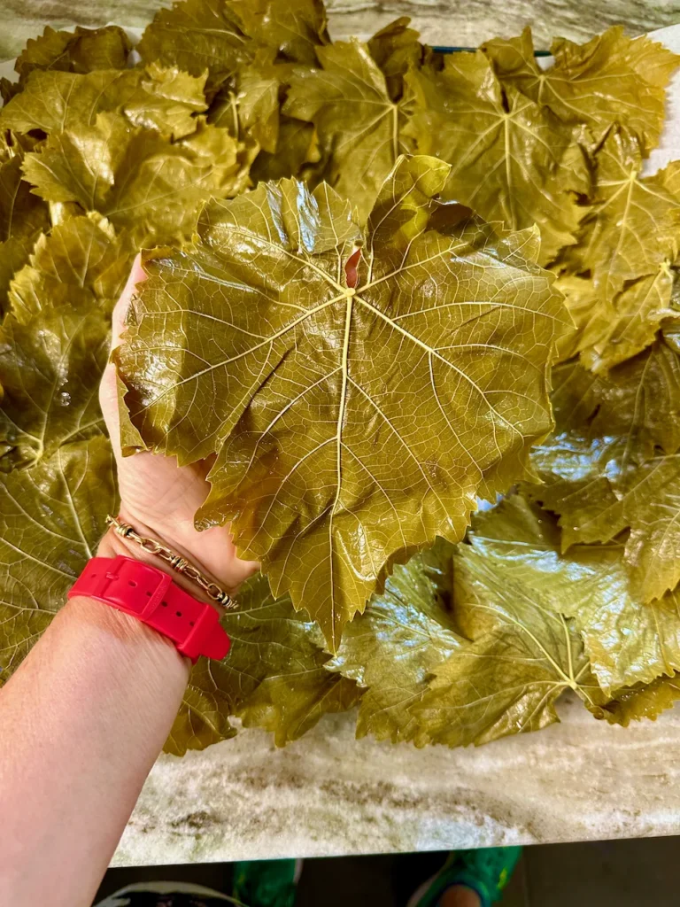 The Tradition of Grape Leaves In My Family Is Passed From Generation To The Next