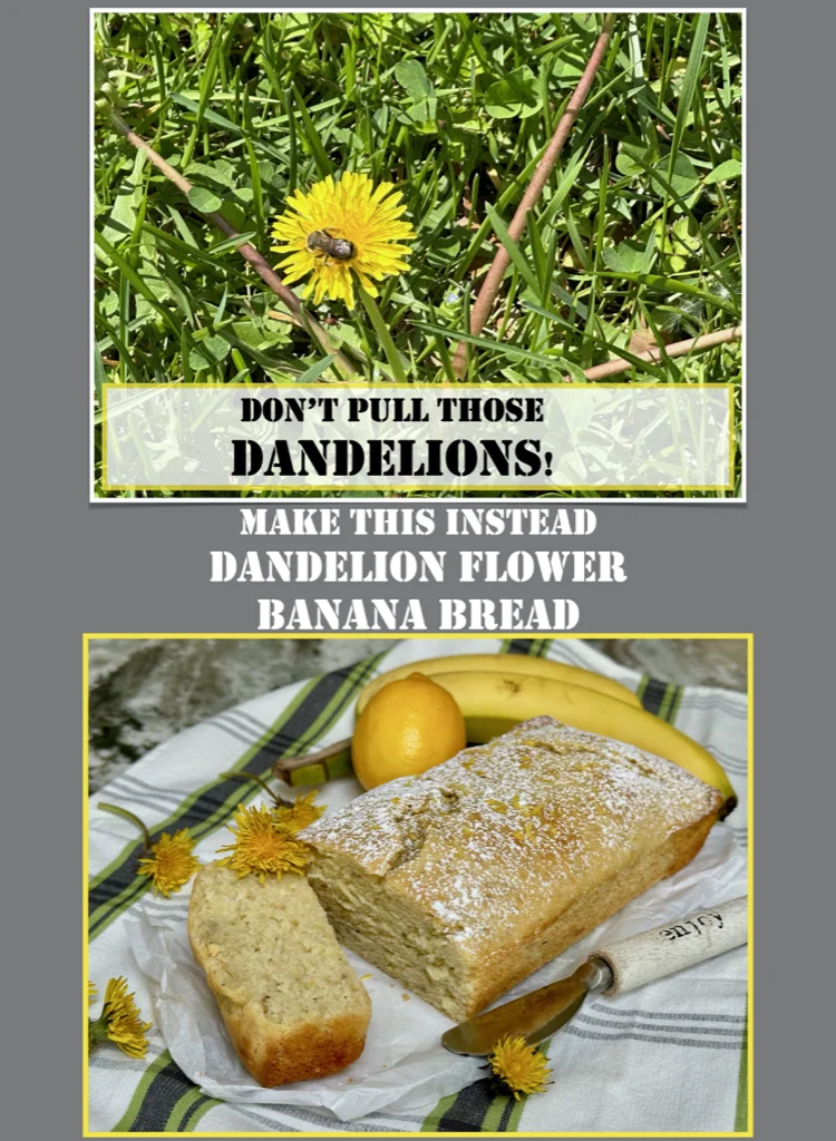 Dandelion Flower Banana Bread - Early Spring Quick Bread Recipe