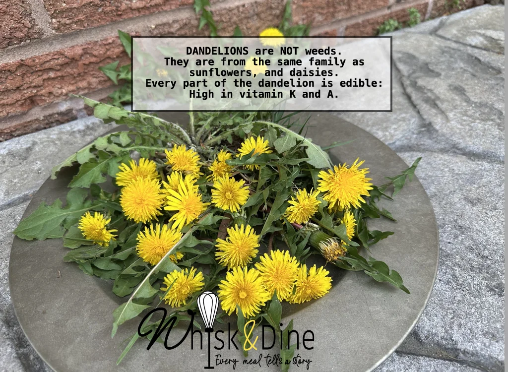 Dandelions Help To Keep Soil Aerated And Are Nutritious For People