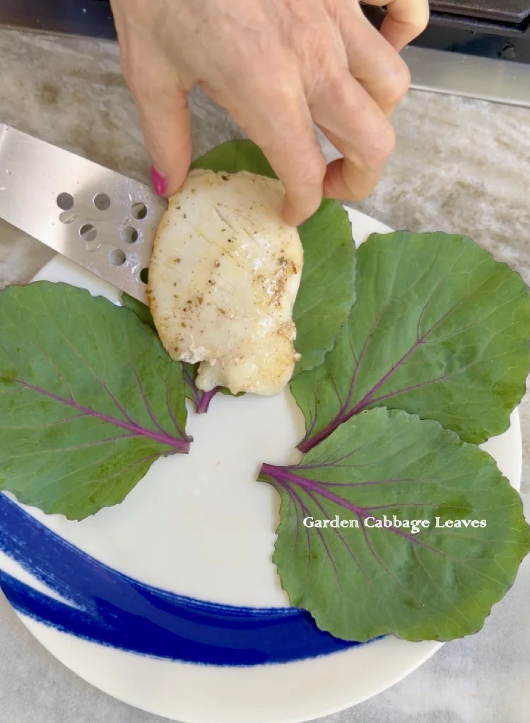 Pan-Seared Fish Cheeks Over Young Garden Fresh Cabbage Leaves