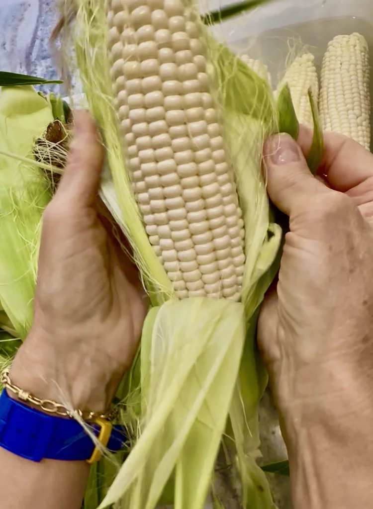 Corn Shucked, Washed and Ready to Par-Boil