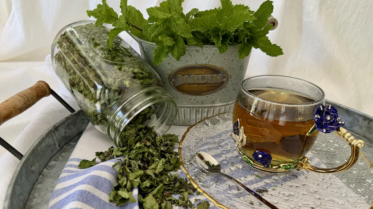 How to Dry Fresh Mint for Drinks, Desserts & Savory Recipes