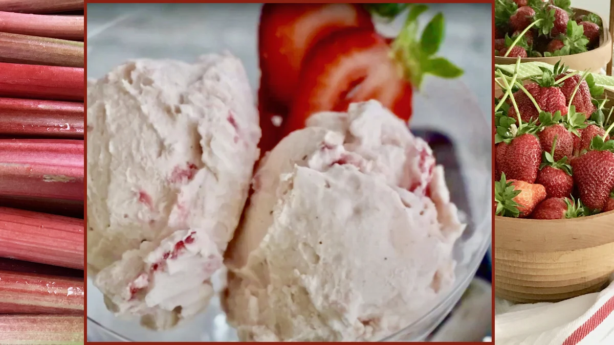 Homemade Strawberry Rhubarb Ice Cream with Fresh Ginger