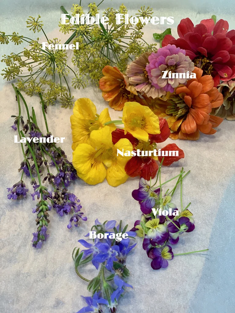 So Many Colorful Edible Flowers To Choose From - Each With A Unique Flavor