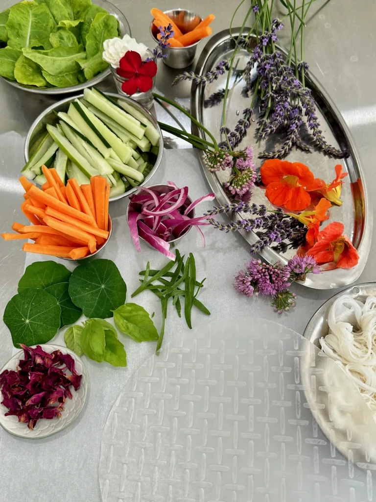 Colorful Garden Ingredients for Rice Paper Wraps