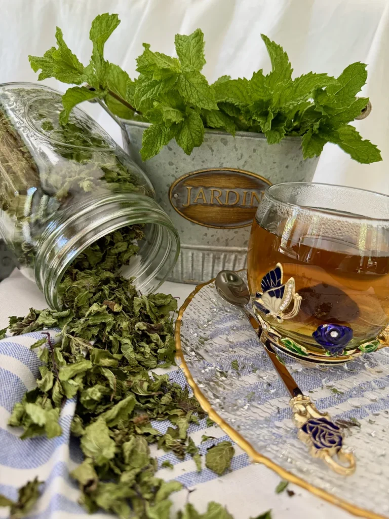 How to Dry Fresh Mint for Drinks, Desserts & Savory Recipes