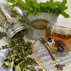 How to Dry Fresh Mint for Drinks, Desserts & Savory Recipes