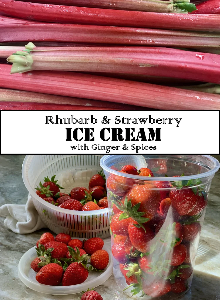 Tart Rhubarb and Sweet Strawberries with Cream Are The Ingredients For This Fabulous Ice Cream