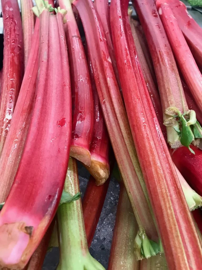 Our Culinary Fascination With Rhubarb