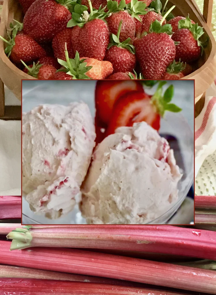 Strawberry and Rhubarb Make The Most Delicious Sweet and Tart Ice Cream