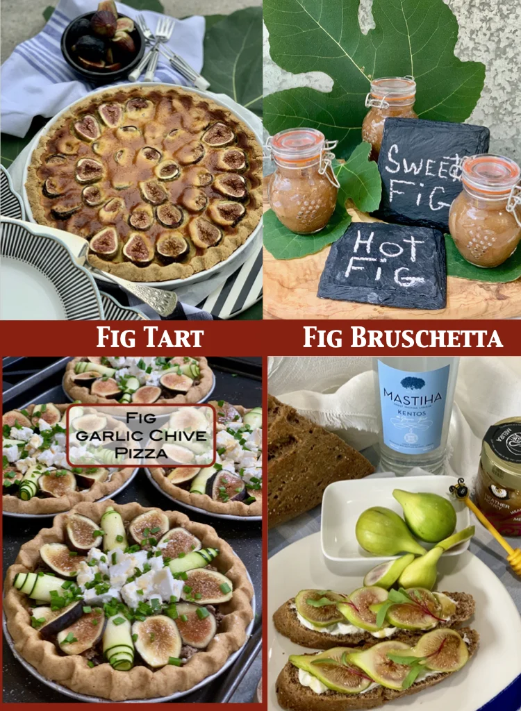 Fresh Figs Are The Best For So Many Homemade Recipes