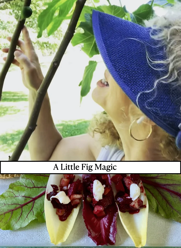 A Little Fig Magic From My Garden