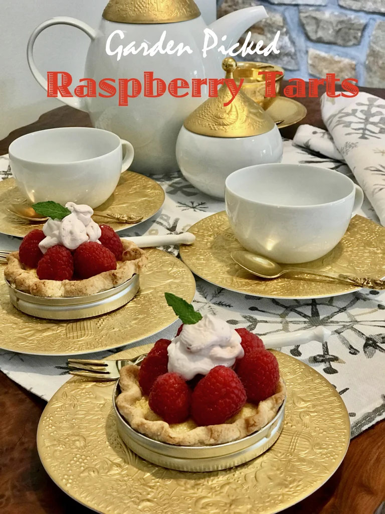 Fresh Raspberry Custard Mini Tarts From My Garden To You